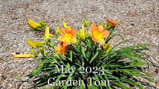 May 2023 Garden Tour by Blazin Blooms 460 views 11 months ago 14 minutes, 34 seconds