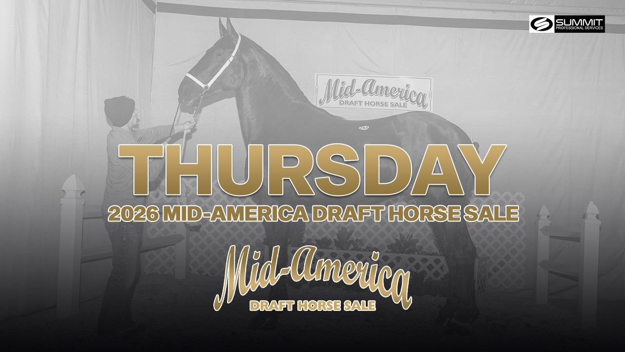 2026 Mid-America Draft Horse Sale - Thursday.