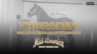 2026 Mid-America Draft Horse Sale - Thursday.