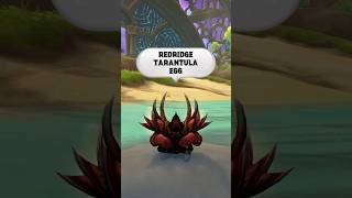 Redridge Tarantula Egg Wow Fun Fact Friday