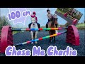 Chase me Charlie (with a special guest ) 1m !