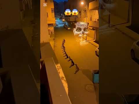 في ظاهرة غريبة اصطفاف الكلاب ليلا جن رعب ماوراءيات Horrorfilm رعب ظواهرخارقة رعب نص الليل 