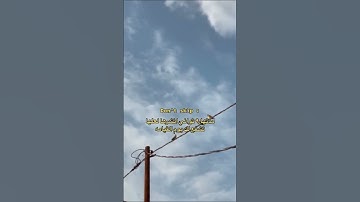 وما تلك بيمينك يا موسى قران كريم #قرآن