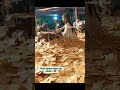 Jay mogal maa namrta makvan