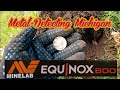 Equinox 800 Metal detector finds more silver coins. 1900s home site.