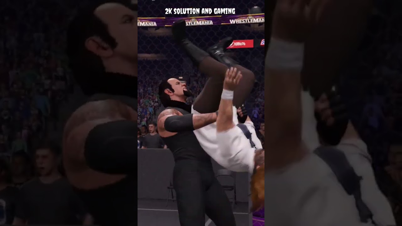 HELL IN A CELL BREAK BY  UNDERTAKER