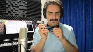 Million Years Ago - Harmonica Cover