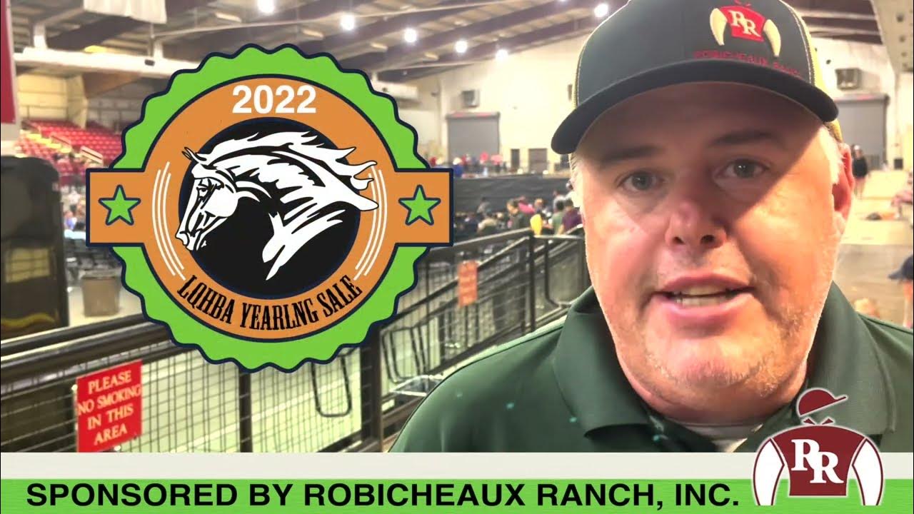 2022 LQHBA Yearling Sale Day2 YouTube