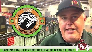 2022 LQHBA Yearling Sale: Day2- StallioneSearch.com