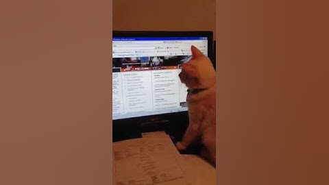 Cat following mouse (cursor on screen)