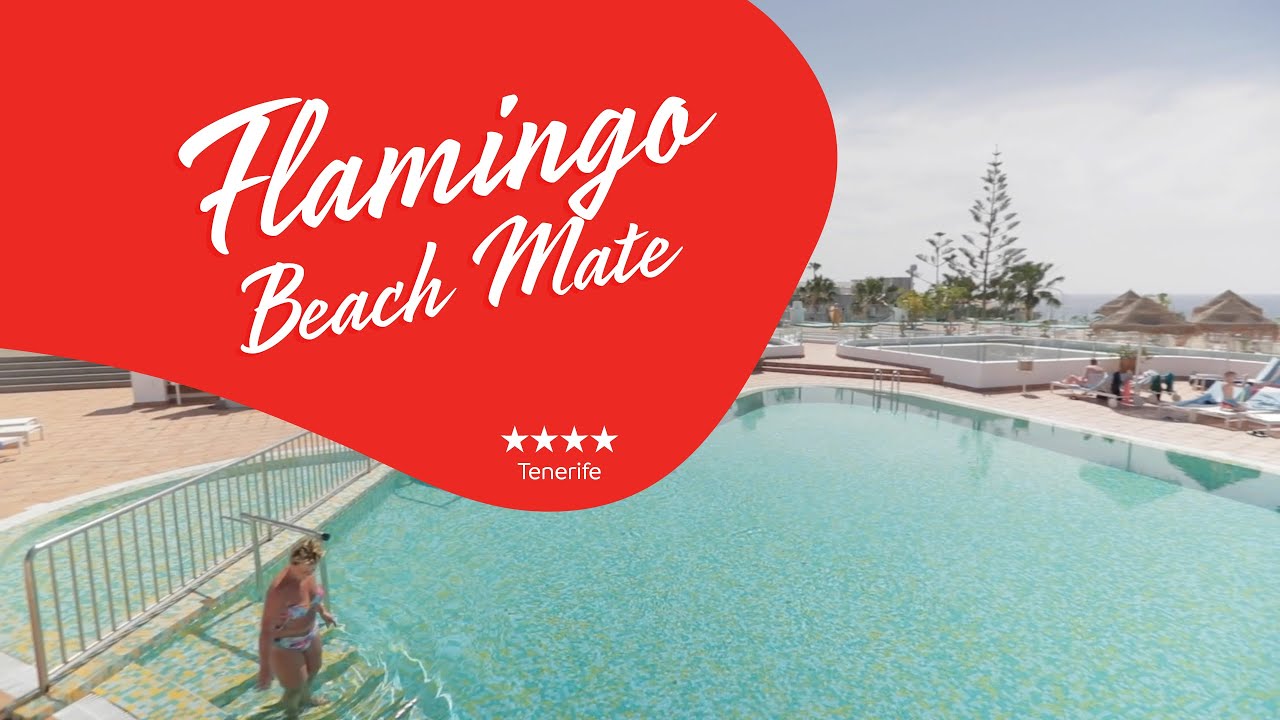 Flamingo Beach Mate **** - Tenerife - YouTube