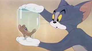 Cartoons Funny Tom And Jerry Том И Джери The Milky Waif 480 X 640
