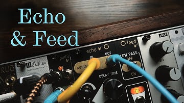 Tenderfoot Electronics Echo & Feed | Lo-fi digital dub delay!