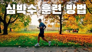 저강도 달리기 | 최대 심박수 구하는 방법 | 가민 워치 설정 방법 | 심박수 훈련 방법 | 마페톤 이론 훈련 방법