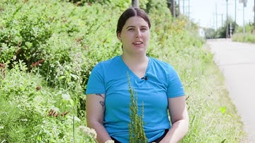 How to: ID and Manage Curled dock