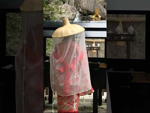 ⚠️神回※白龍神様のサイン⚠️那智の滝・飛瀧神社⚠️選ばれた者しか辿り着けない動画②⛩️　コメント欄にお願い事を書いてください⛩️　#shorts
