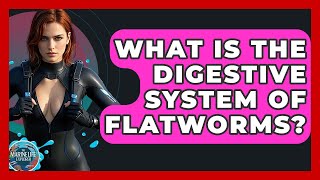 What Is The Digestive System Of Flatworms - The Marine Life Explorer