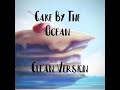 Cake by the ocean clean version