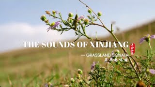 The sounds of Xinjiang -- Grassland sonata