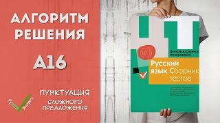 Видеоразбор ЦТ по Русскому [A16 | 2015]