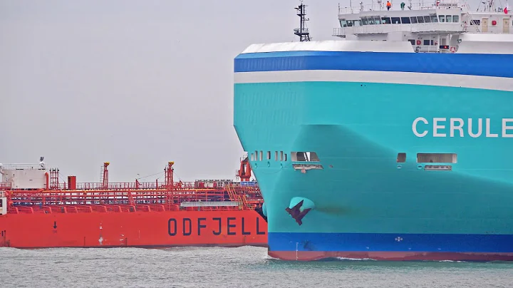 ROTTERDAM HARBOR VIEW - LARGE SHIPS UP CLOSE - 4K SHIPSPOTTING ROTTERDAM 2025