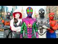 Spider Man Into The Spider Verse 2026 Spider Man Brand New Day Superheros Avengers Thor 
