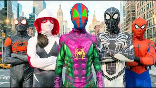 Spiderman Into The Spiderverse 2026  Spiderman Brand New Day  Superheros  Avengers  Thor