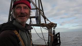 TRAWLING BLACK DEEP  Fishing for skate in the Thames estuary with Tim Cook