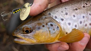 Tiny Creek Brown Trout LOVE Panther Martin Spinners!