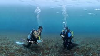 360°VR観光 | 特集 | 【公式】新上五島町観光なび