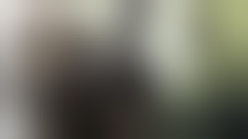 MORTAL KOMBAT X - The Apex Predator - All Predator Brutalities,Fatalities,X-Ray & Character Ending