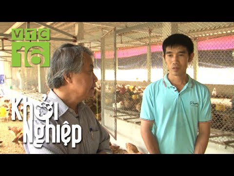 Có phải giá gà đang giảm, người nuôi gà cần làm gì? - Khởi nghiệp 427 | VTC16