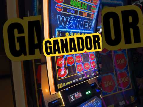 Los MEJORES Casinos Online de 2025 🎲 ¡Juega y Gana Más!