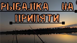 Чуть Не Утянуло Фидер | Отдых и Рыбалка на реке Припять |