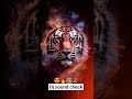 dj song #remix #hindidjsong