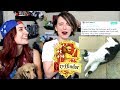 Sorting Your Cats into Hogwarts Houses ft. Brizzy Voices