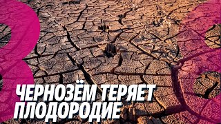 Новости: Чернозём теряет плодородие /Обманули 25 человек /02.07.2025
