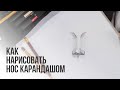 Как нарисовать нос поэтапно карандашом | Видео уроки рисования для начинающих. Обучение рисованию