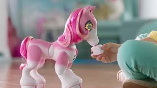 Zoomer | Show Pony | TV Commercial by Zoomer 1,013,212 views 6 years ago 16 seconds