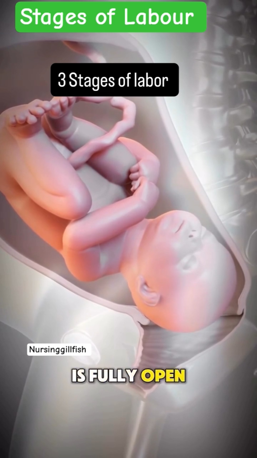 📺வைரல் தகவல்🤩 - ShareChat