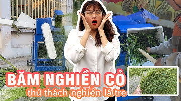 Máy Băm Nghiền Cỏ 5 Tạ Mỗi Giờ Thử Thách Nghiền Lá Tre Tươi