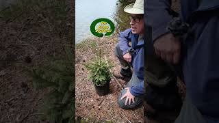 Video Reply To @downeastprimitiveskills7688