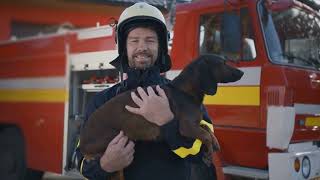"California Wildfire: Survival Story of Two Men and Their Dog | Buzz Hub"