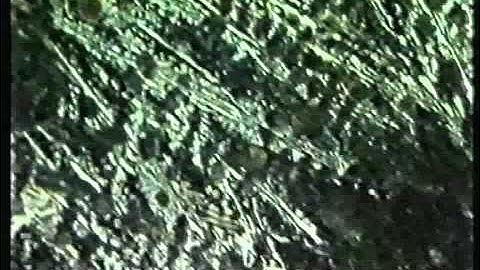 Metallography Part II