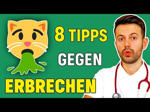 Video: Was Tun, Wenn Die Katze Erbricht?