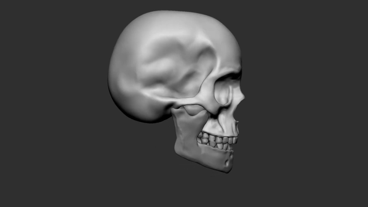 time lapse skull zbrush