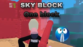 Dumb and Dumber play oneblock skyblock in YEEPS!