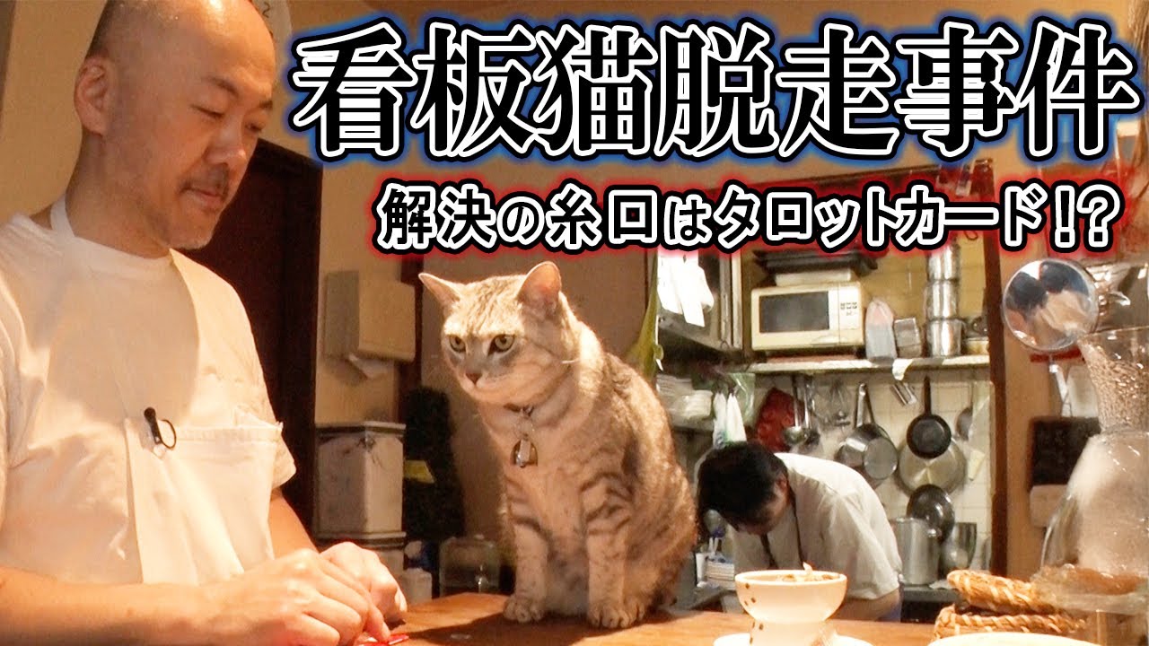 看板猫の脱走事件がまさかの形で解決