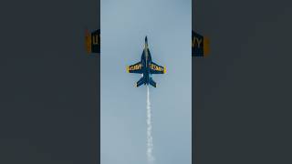 Got INSANE photos of the Blue Angels from my backyard 🤯 What do you think? #photographer #aviation