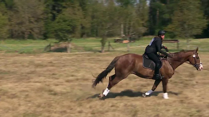 Paula Sweeney; September 2020 Caber Farm Horse Tri...